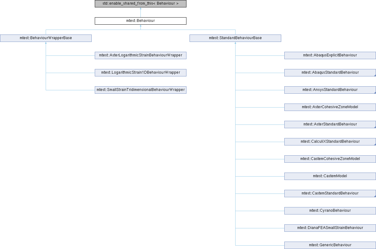 tfel: mtest::Behaviour Struct Reference
