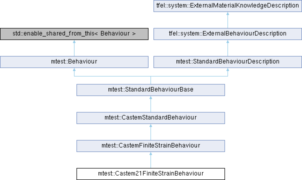 tfel: mtest::Castem21FiniteStrainBehaviour Struct Reference