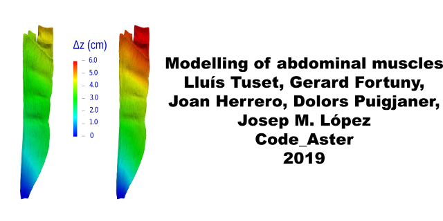 Abdominal muscles modelling by Lluís Tuset, Gerard Fortuny, Joan Herrero, Dolors Puigjaner, Josep M. López.