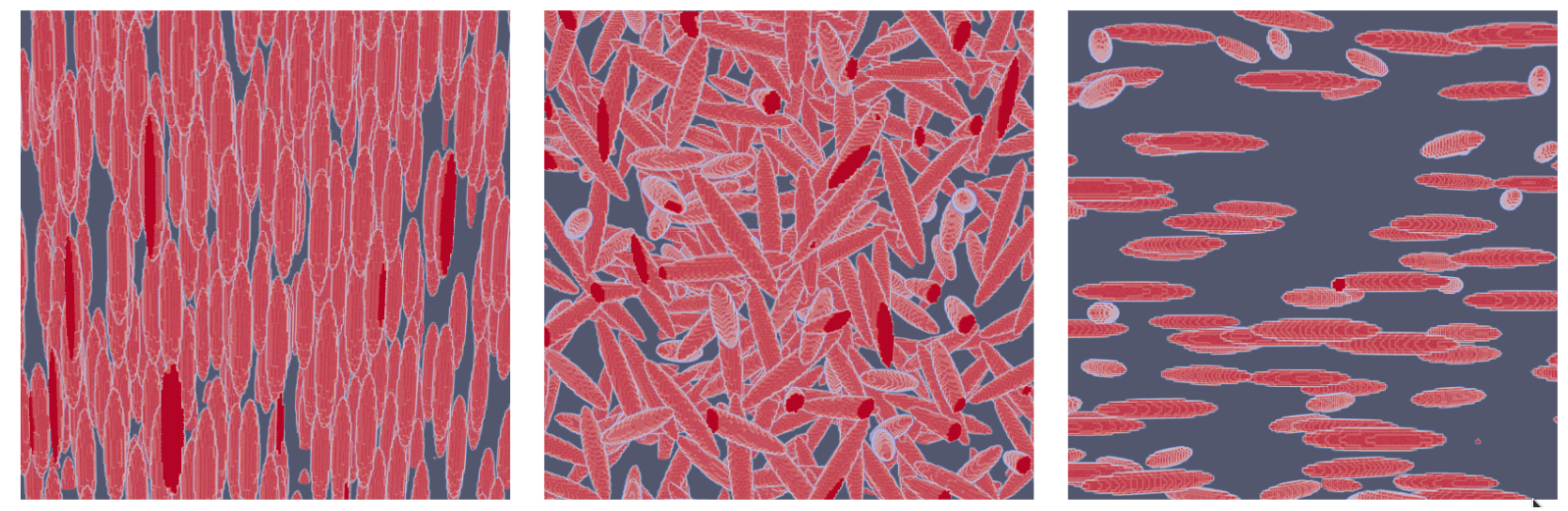 The three distributions of orientations considered here: oriented, isotropic, and transverse isotropic